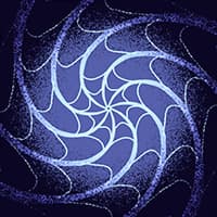 Vortex Web